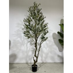 240cm Artificial Olive Tree