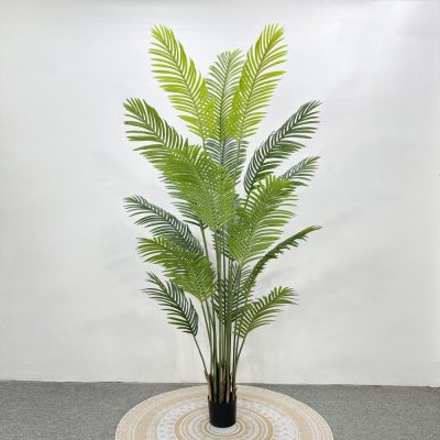 Palm Tree