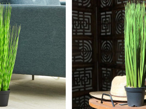 كيفية تنسيق نبات البصل الصناعي مع ديكور منزلك