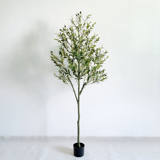 شجرة الزيتون 210 سم شجرة الزيتون 210 سم