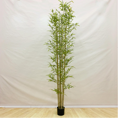 شجرة الخيزران (البامبو) 240 سم شجرة الخيزران (البامبو) 240 سم