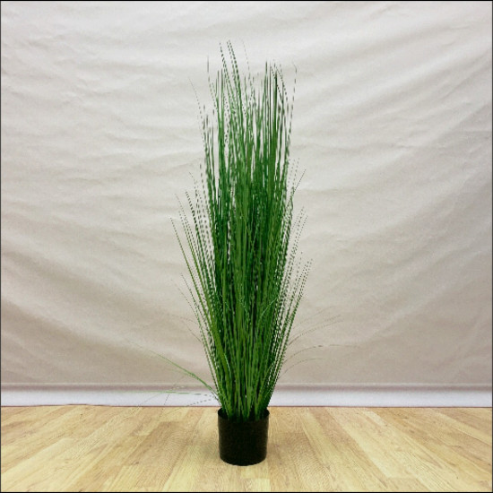 نبتة البصلة البرية