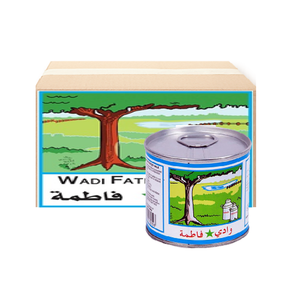 حليب سائل وادي فاطمة 170جرام * 96