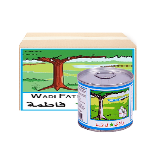 WADI FATIMA EVP MILK 170ML*96