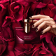 Splendida Magnolia Essential by Bvlgari for women - Eau de Parfum, 100 ml Splendida Magnolia Essential by Bvlgari for women - Eau de Parfum, 100 ml