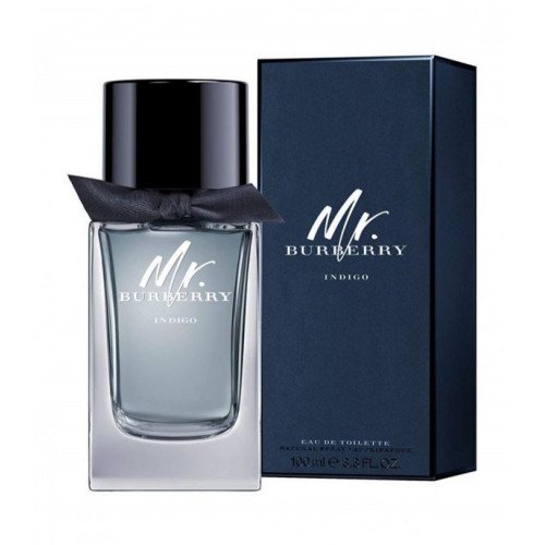 Burberry Mr. Burberry Indigo Eau de Toilette for Men 100ml