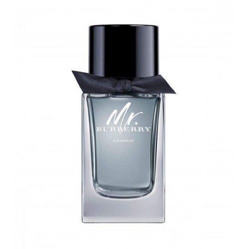 Burberry Mr. Burberry Indigo Eau de Toilette for Men 100ml