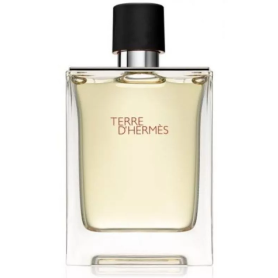 Hermes Terre D'Hôte for Men, Eau de Toilette - 100 ml