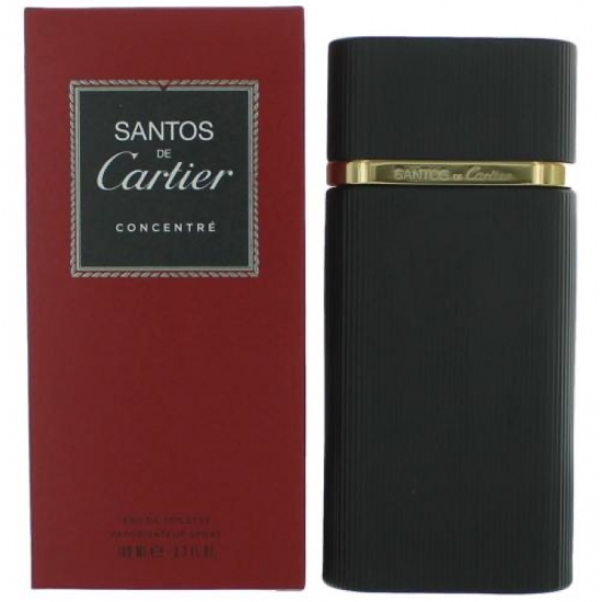 Santos de Cartier Concentrated for Men Eau de Toilette 100 ml