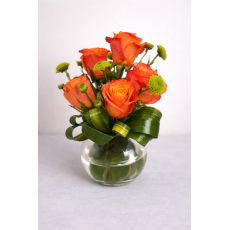 ميني بيبي روز برتقالي