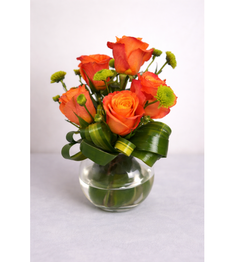 ميني بيبي روز برتقالي