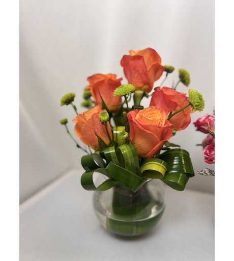 ميني بيبي روز برتقالي