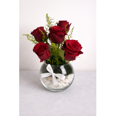 ميني بيبي روز احمر