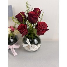 ميني بيبي روز احمر