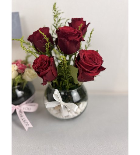 ميني بيبي روز احمر