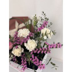 مبروك المولودة