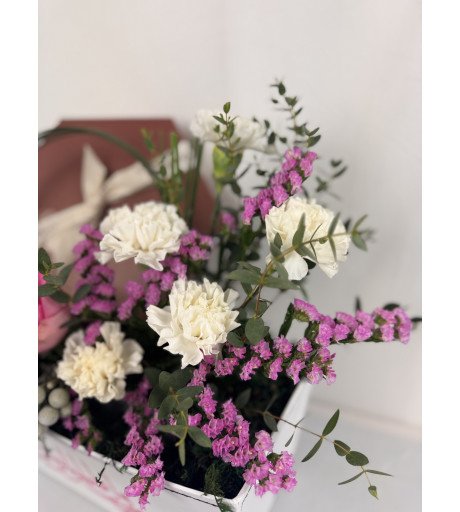 مبروك المولودة