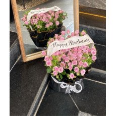 بوكية ورد بيبي روز موف-وردي