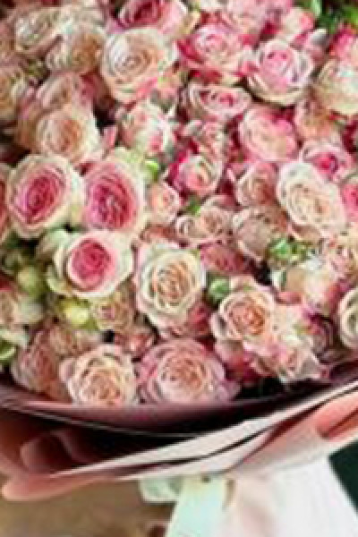 الأكثر مبيعاً