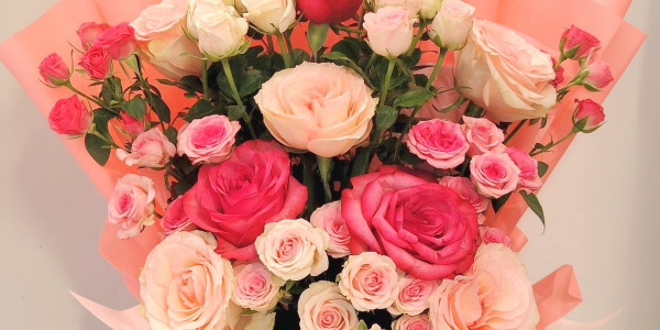 ورود طبيعيه