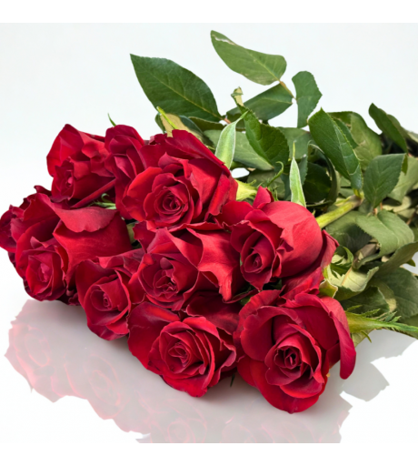 ورد جوري أحمر