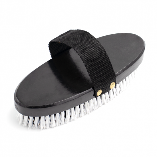 فرشاة لجسم الخيل