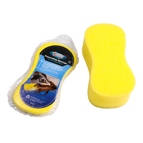 اسفنج استحمام للخيل