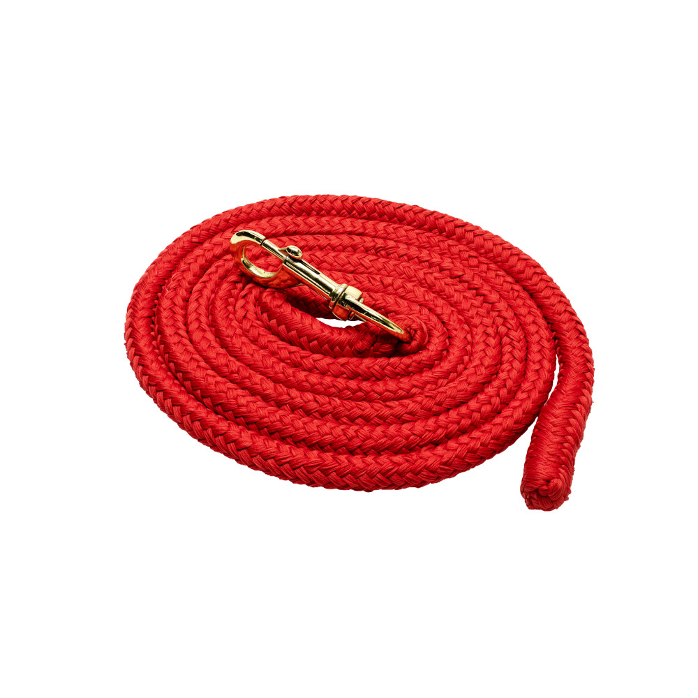 مقود 3 أمتار