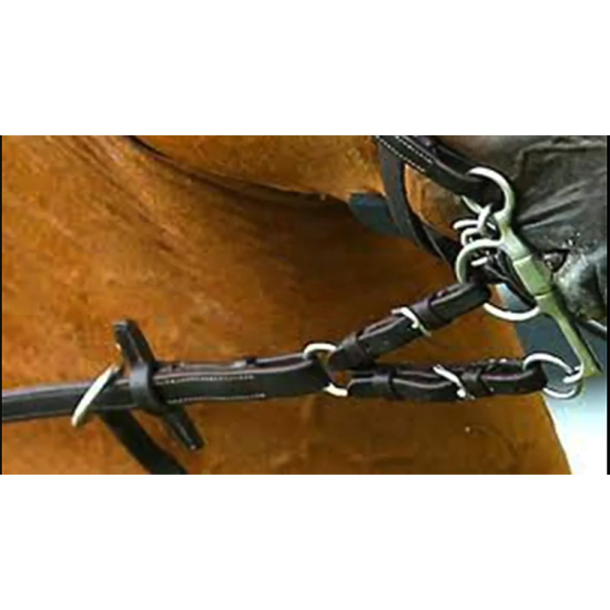 سيور شكيمة ( بلهم ) 4 قطع