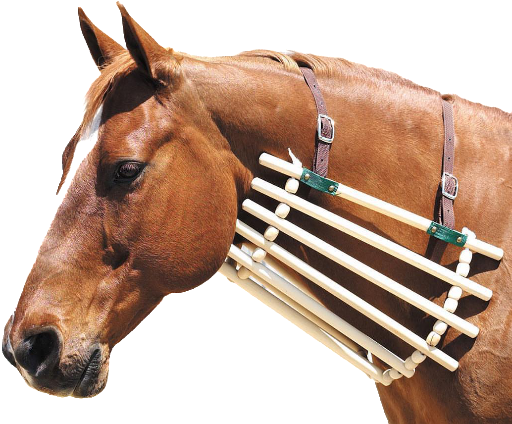 دعامة رقبة للخيل