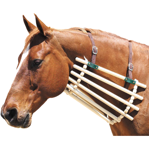 دعامة رقبة للخيل