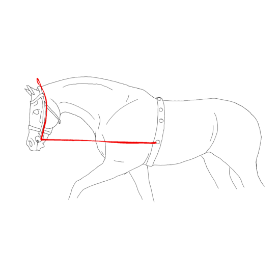مطاط لتعديل رأس الخيل 3 متر