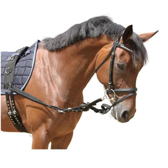 سيور جانبية لضبط رأس الحصان