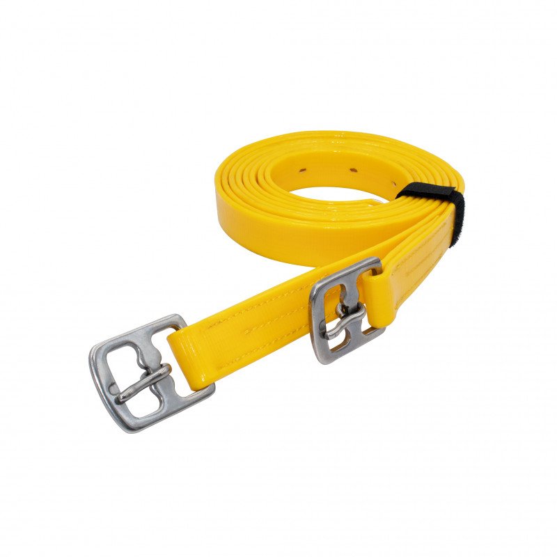 سيور ركابات بايوثين