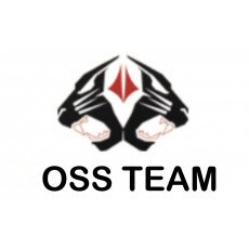OSS TEAM