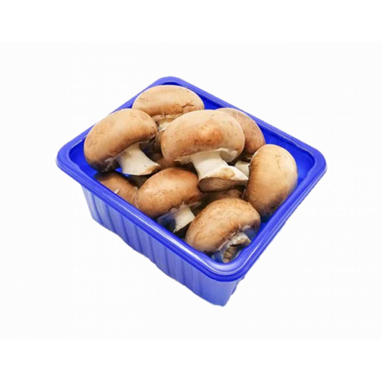 مشروم بني (علبة)