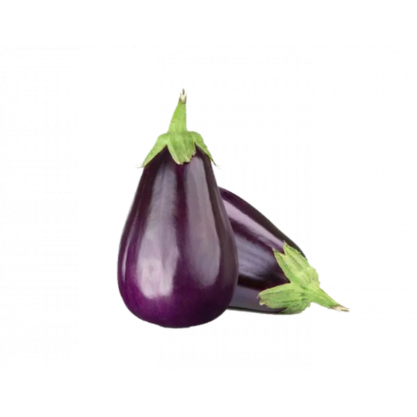 باذنجان أسود طويل