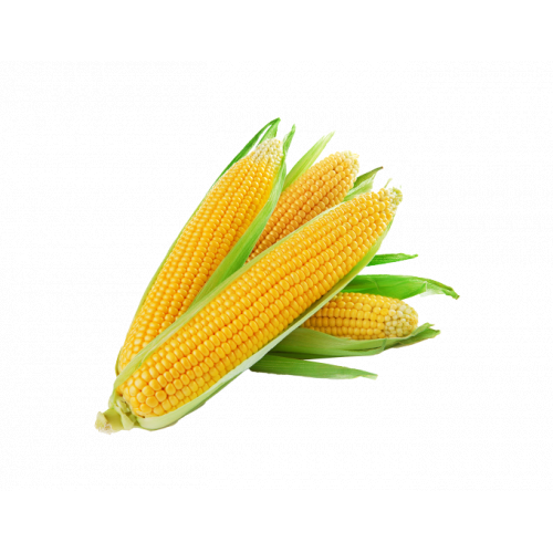 ذرة بلدي (طبق)