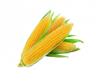 ذرة بلدي (طبق)