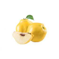 سفرجل
