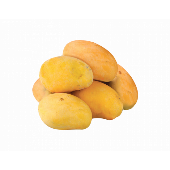 مانجو باكستاني فلين