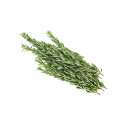 روزماري طازج