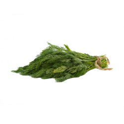 شبت طازج