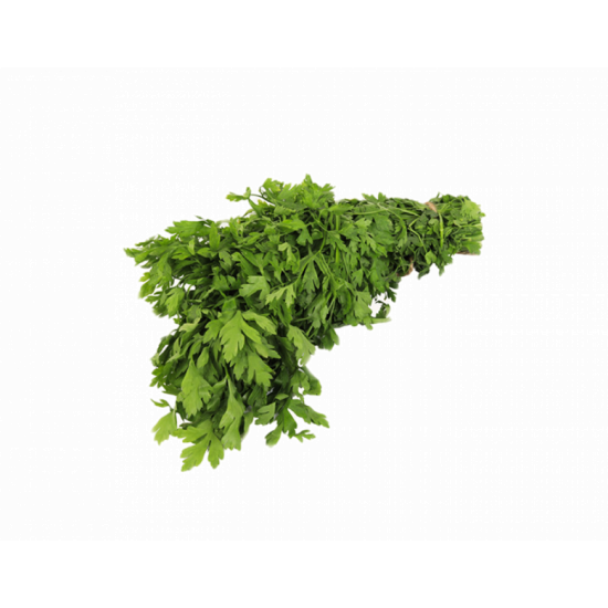 بقدونس طازج