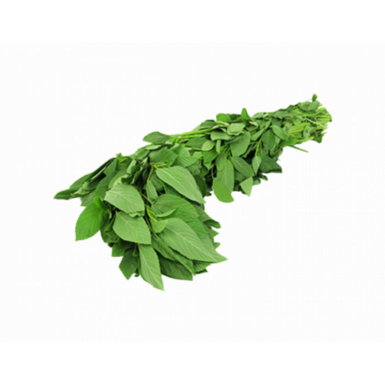 ملوخية طازجة