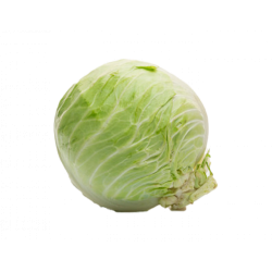 ملفوف ابيض