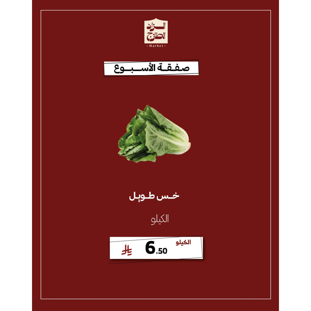 خس طويل - عرض 