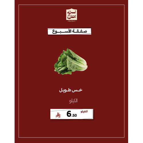 خس طويل - عرض 