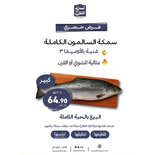 سمك سلمون طازج مقاس 5 - 6