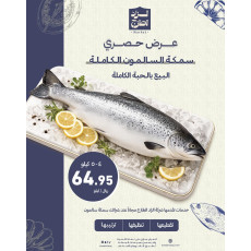 سمك سلمون طازج مقاس 5 - 6 كيلو 